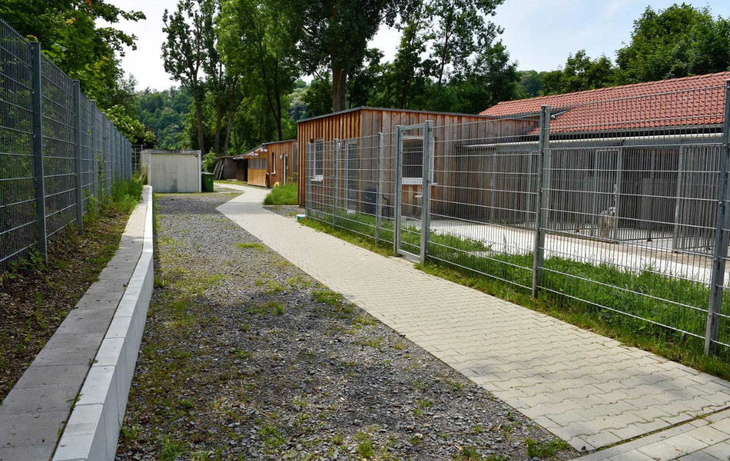 Organisationen Tierheim Vaihingen Enz und Umgebung e.V
