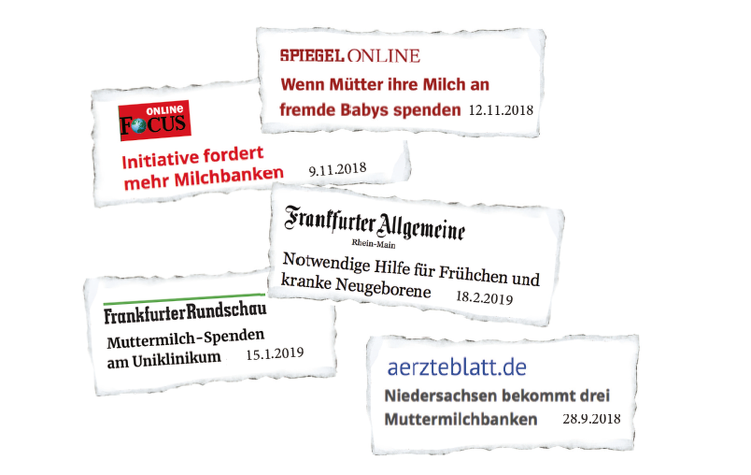 Organisationen - Frauenmilchbank-Initiative e.V. - socialfunders.org
